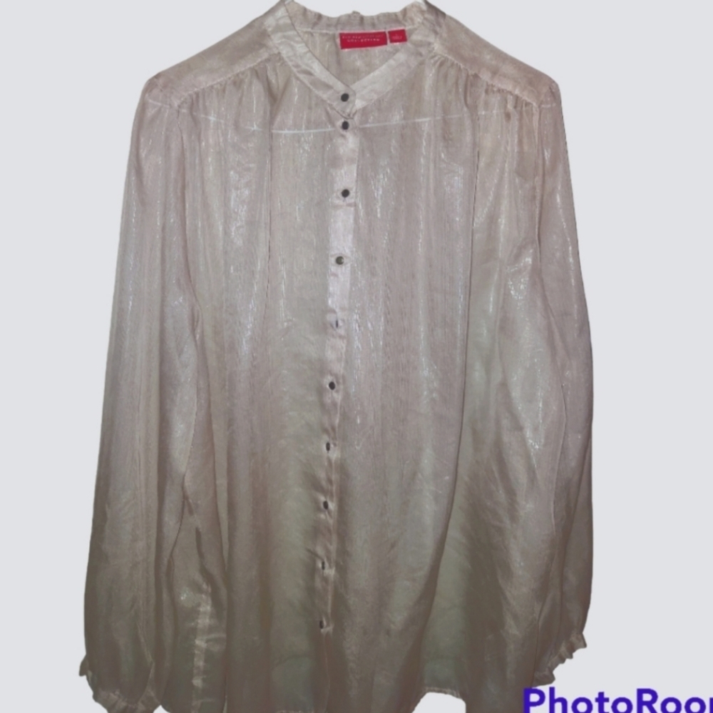 Sheer Glitzy Puffy Sleeve Blouse